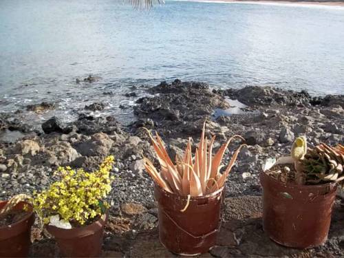Arrieta Spanien Kanarische Inseln Promo-Code Booking.com