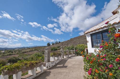 Teror Código promocional para las Islas Canarias en Booking.com