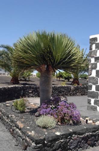Mozaga Espagne Code promotionnel des Îles Canaries sur Booking.com